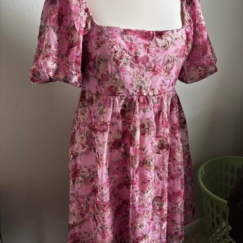 cottagecore cutesy feminine lace Pink Floral Embroidered Mesh Puff Sleeve Mini M